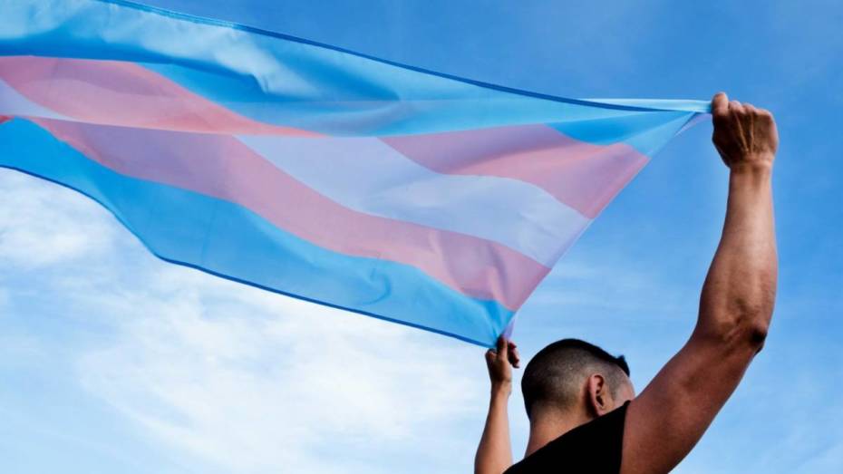 trans slovensko